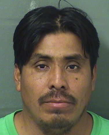  CARLOS IXTABALANLOPEZ Results from Palm Beach County Florida for  CARLOS IXTABALANLOPEZ