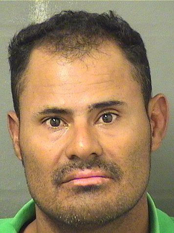 DELIS REINEL ANTUNESMENDES Photos For  DELIS REINEL ANTUNESMENDES  DELIS REINEL ANTUNESMENDES Photo For  DELIS REINEL ANTUNESMENDES