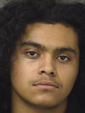  MELVIN J ROMERO Results from Palm Beach County Florida for  MELVIN J ROMERO