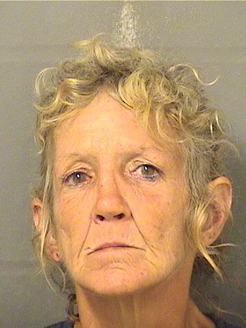  VIKI L NUGENT Results from Palm Beach County Florida for  VIKI L NUGENT