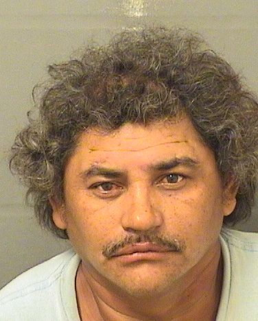  ALEJANDRO JOYA Photo For  ALEJANDRO JOYA