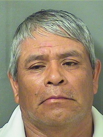  ISAVEL BAILON Resultados de la busqueda para Palm Beach County Florida para  ISAVEL BAILON