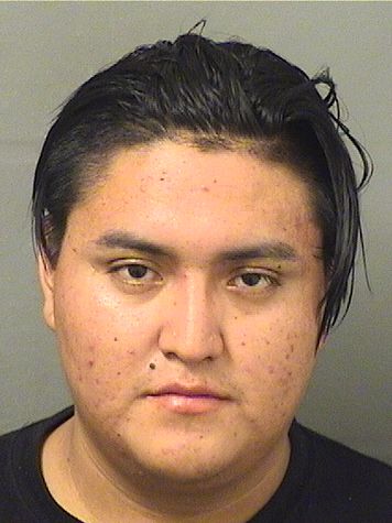  ANDERSON JASON VASQUEZ Resultados de la busqueda para Palm Beach County Florida para  ANDERSON JASON VASQUEZ
