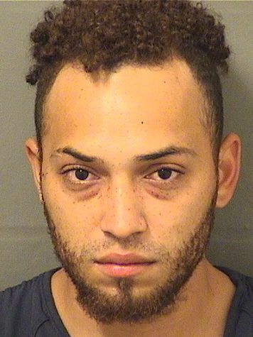  SELVIN MEJIA LEIVA Results from Palm Beach County Florida for  SELVIN MEJIA LEIVA
