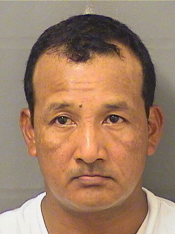  MARCELO ARCENIO BENITOAMAYA Resultados de la busqueda para Palm Beach County Florida para  MARCELO ARCENIO BENITOAMAYA