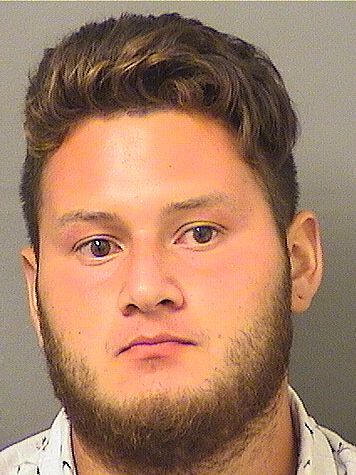  BRYAN RAFAEL ERIZALUVIANO Results from Palm Beach County Florida for  BRYAN RAFAEL ERIZALUVIANO