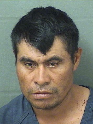  MARCO JIMENEZ Photo For  MARCO JIMENEZ