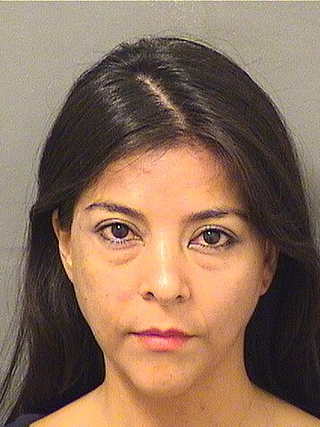  JENNY VIOLETA ADELMAN Results from Palm Beach County Florida for  JENNY VIOLETA ADELMAN