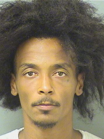  ANDERSON SANTIAGONOVA Results from Palm Beach County Florida for  ANDERSON SANTIAGONOVA