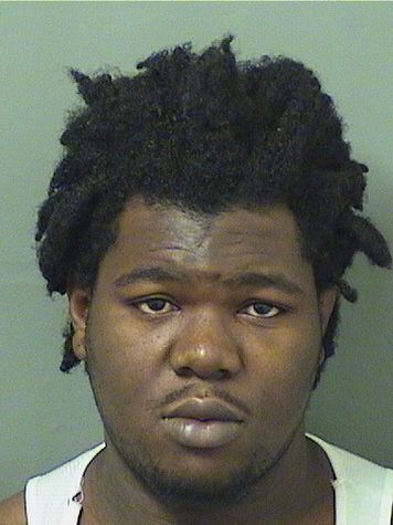  WILLIAMS DALEUSSIMILUS Results from Palm Beach County Florida for  WILLIAMS DALEUSSIMILUS