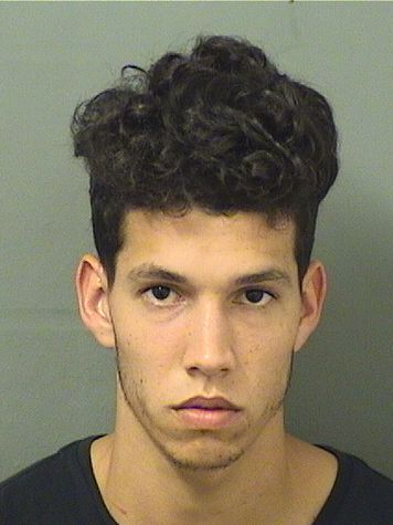  NESTOR F SILVEIRA Resultados de la busqueda para Palm Beach County Florida para  NESTOR F SILVEIRA