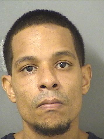  DELVIN RAMOS Results from Palm Beach County Florida for  DELVIN RAMOS