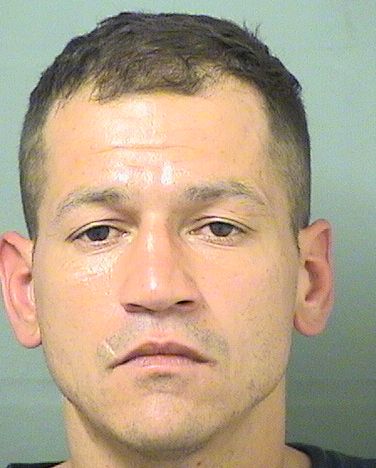  JACOB INOCENCIO DELVALLE Results from Palm Beach County Florida for  JACOB INOCENCIO DELVALLE
