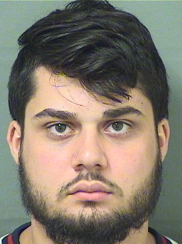  MICHAEL LOUIS CERENZIA Results from Palm Beach County Florida for  MICHAEL LOUIS CERENZIA