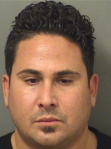  SEAN PAUL MITROPANOPOULOS Results from Palm Beach County Florida for  SEAN PAUL MITROPANOPOULOS