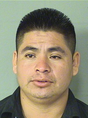 PEDRO BONILLA JIMENEZ Photos For  PEDRO BONILLA JIMENEZ  PEDRO BONILLA JIMENEZ Photo For  PEDRO BONILLA JIMENEZ