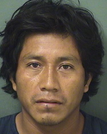  MARCOS ORORIOLOPEZ Resultados de la busqueda para Palm Beach County Florida para  MARCOS ORORIOLOPEZ