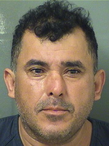  EDVIN FRANCISCO PINEDASALAZAR Results from Palm Beach County Florida for  EDVIN FRANCISCO PINEDASALAZAR