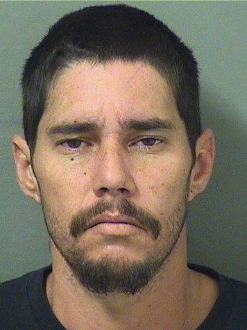  DENNIS ADAM GRIMSLEY Results from Palm Beach County Florida for  DENNIS ADAM GRIMSLEY