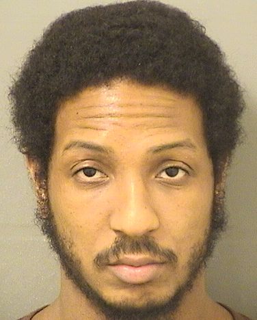  MICHAEL IVAN KYLE JOHNSON Resultados de la busqueda para Palm Beach County Florida para  MICHAEL IVAN KYLE JOHNSON