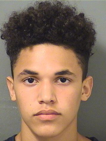  ELIJAH M GARDNER Results from Palm Beach County Florida for  ELIJAH M GARDNER