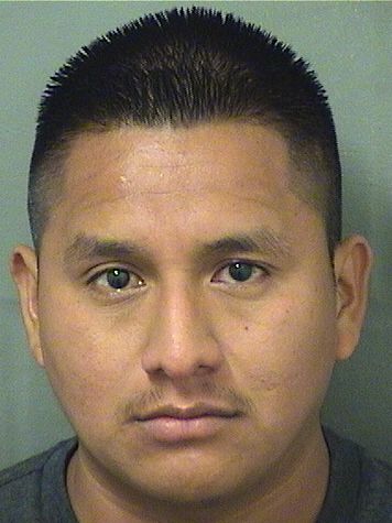  ALFREDO L GARCIACARRILLO Results from Palm Beach County Florida for  ALFREDO L GARCIACARRILLO