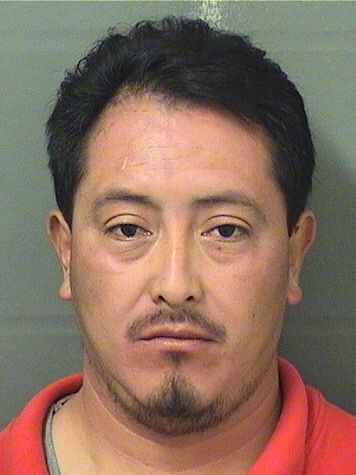  OVIDIO R VELASQUEZMEJIA Resultados de la busqueda para Palm Beach County Florida para  OVIDIO R VELASQUEZMEJIA