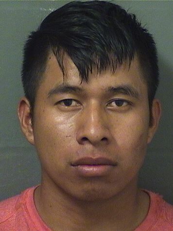  MARTIN JIMINEZPEDRO EFRIAN Results from Palm Beach County Florida for  MARTIN JIMINEZPEDRO EFRIAN