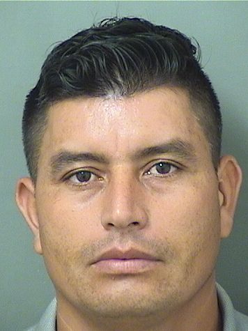  MISAEL LOPEZMORALES Results from Palm Beach County Florida for  MISAEL LOPEZMORALES