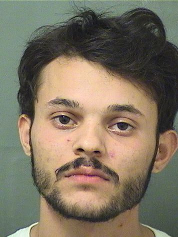  NOODLE COSTA Resultados de la busqueda para Palm Beach County Florida para  NOODLE COSTA