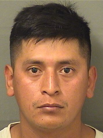  GOMEZ EULOGIO XICAY Resultados de la busqueda para Palm Beach County Florida para  GOMEZ EULOGIO XICAY