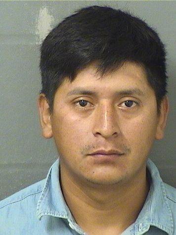 EULOGIO XICAYGOMEZ resultados de la busqueda para Palm Beach County Florida para EULOGIO XICAYGOMEZ EULOGIO XICAYGOMEZ Resultados de la busqueda para Palm Beach County Florida para EULOGIO XICAYGOMEZ