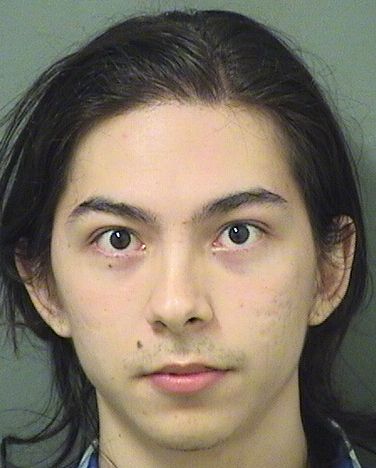  LUIZ A ZULLINO JUNIOR Resultados de la busqueda para Palm Beach County Florida para  LUIZ A ZULLINO JUNIOR