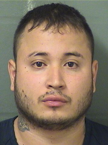  JUAN DAVID BOTELLOPATINO Results from Palm Beach County Florida for  JUAN DAVID BOTELLOPATINO