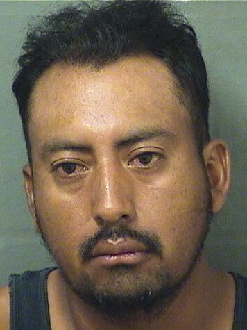 ALEX E VASQUEZ CARRILLO Results from Palm Beach County Florida for ALEX E VASQUEZ CARRILLO ALEX E VASQUEZ CARRILLO Results from Palm Beach County Florida for ALEX E VASQUEZ CARRILLO