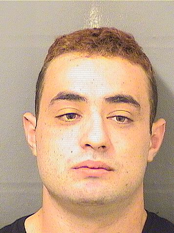  ANDRES RAYMOND J VEGA Results from Palm Beach County Florida for  ANDRES RAYMOND J VEGA