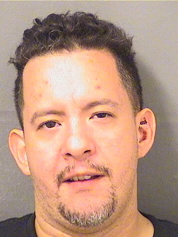  MICHAEL ANGELO CINTRON Results from Palm Beach County Florida for  MICHAEL ANGELO CINTRON