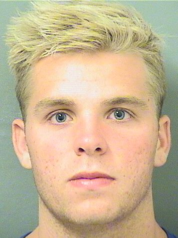  ALEXANDER MICHAEL VICE Resultados de la busqueda para Palm Beach County Florida para  ALEXANDER MICHAEL VICE