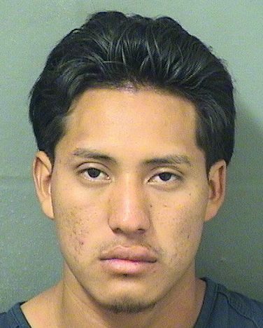  FRANCISCO ANDRES MARTIN Results from Palm Beach County Florida for  FRANCISCO ANDRES MARTIN