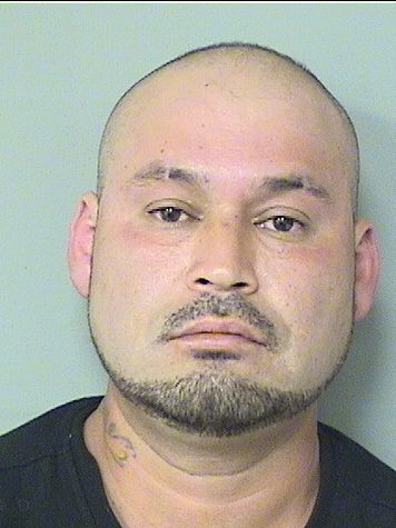 GERARDO GUILLEN Photos For  GERARDO GUILLEN  GERARDO GUILLEN Photo For  GERARDO GUILLEN