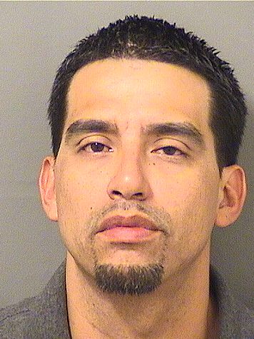  DIEGO ARMANDO LAROSA Results from Palm Beach County Florida for  DIEGO ARMANDO LAROSA