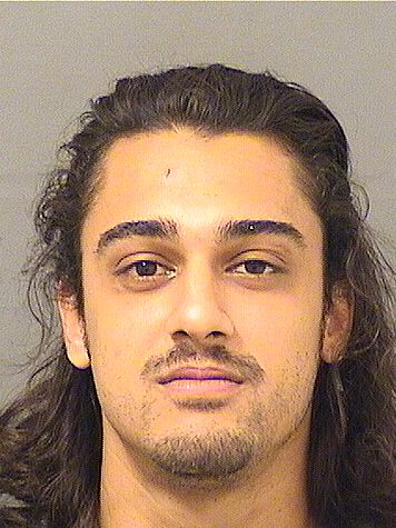  STEFAN PATRICK SIEBEN Results from Palm Beach County Florida for  STEFAN PATRICK SIEBEN