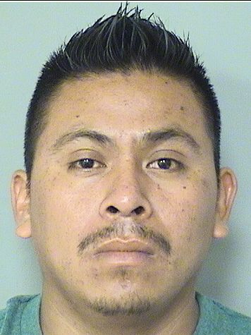  RIGOBERTO BAUTISTATERCERO Results from Palm Beach County Florida for  RIGOBERTO BAUTISTATERCERO