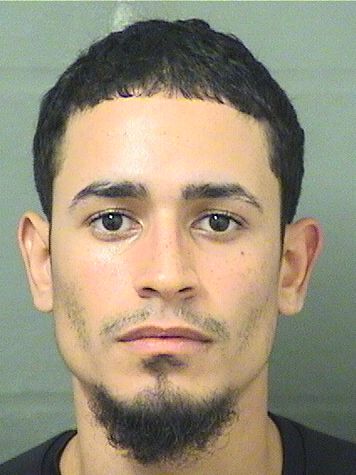  MANUEL ALBERTO LUGO Results from Palm Beach County Florida for  MANUEL ALBERTO LUGO