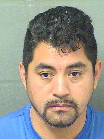  PEDRO ESPINOSA HERNANDEZ Results from Palm Beach County Florida for  PEDRO ESPINOSA HERNANDEZ