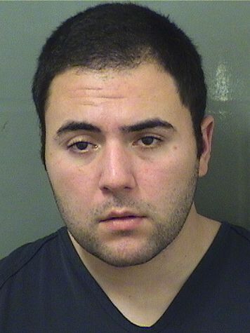  ALEXANDER P VARTANIAN Results from Palm Beach County Florida for  ALEXANDER P VARTANIAN