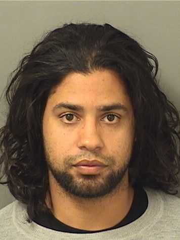  ELIAS ARMANDO CALDERON Results from Palm Beach County Florida for  ELIAS ARMANDO CALDERON