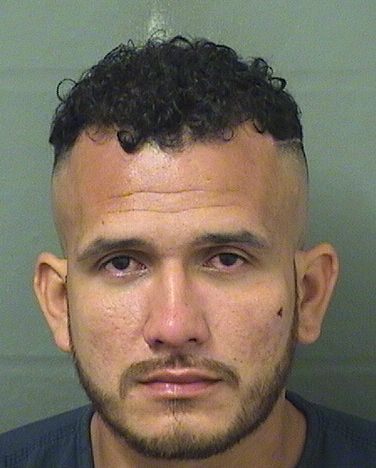  JESUS A ESTRADA BUSTOS Results from Palm Beach County Florida for  JESUS A ESTRADA BUSTOS