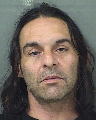  MICHAEL PATRICK TORRES Results from Palm Beach County Florida for  MICHAEL PATRICK TORRES