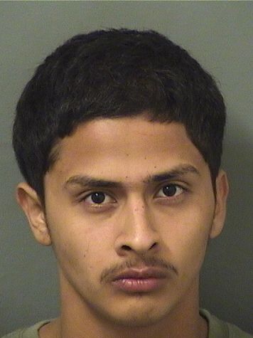  KELVIN ALEXIS MARTINEZ Results from Palm Beach County Florida for  KELVIN ALEXIS MARTINEZ